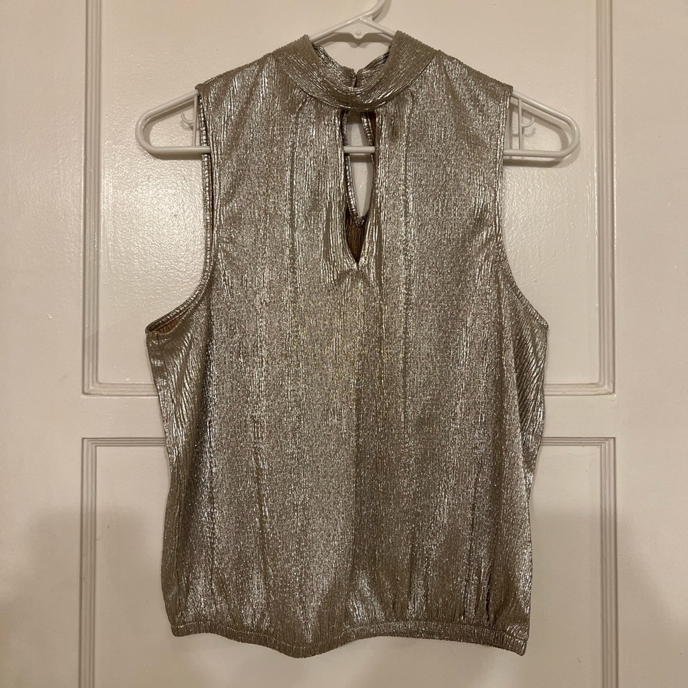 Silver, sleeveless, high neck top